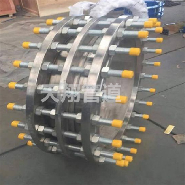 �������s���^